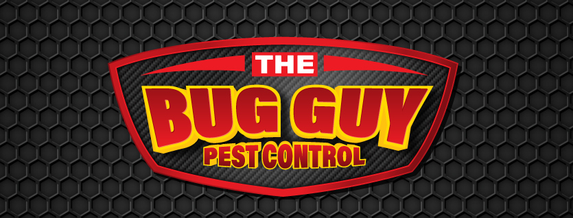 The Bug Guy In Full OKC Pest Control Action