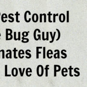 Fleas- OKC Pest Control